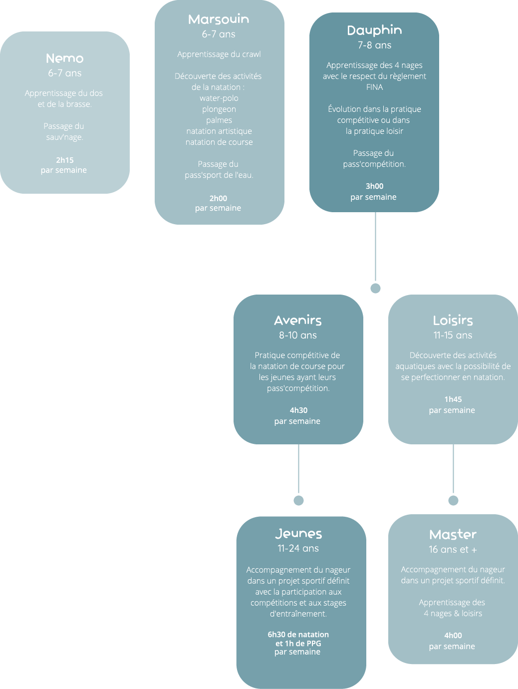 organigramme