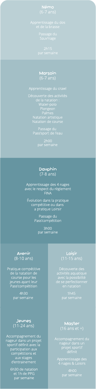 organigramme